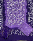 TAS Auto Crop Upper - Premium Multi-Color Bandhej Zari Pallu 3-Piece Suit 11